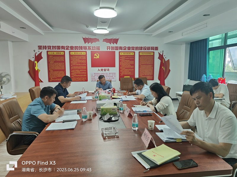 湖南糧油集團(tuán)召開黨委理論學(xué)習(xí)中心組第六次集中學(xué)習(xí)暨“以學(xué)增智”專題研討